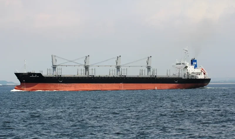 DANCEFLORA SW Bulk Carrier IMO 9603946 photo 5
