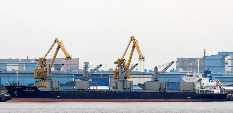 DANCEFLORA SW Bulk Carrier IMO 9603946 photo 8