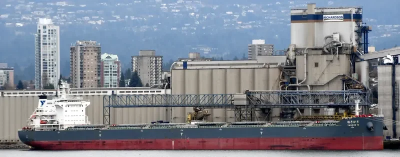 YANGZE 12 Bulk Carrier IMO 9604017 photo 2