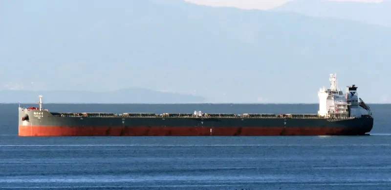 YANGZE 12 Bulk Carrier IMO 9604017 photo 4