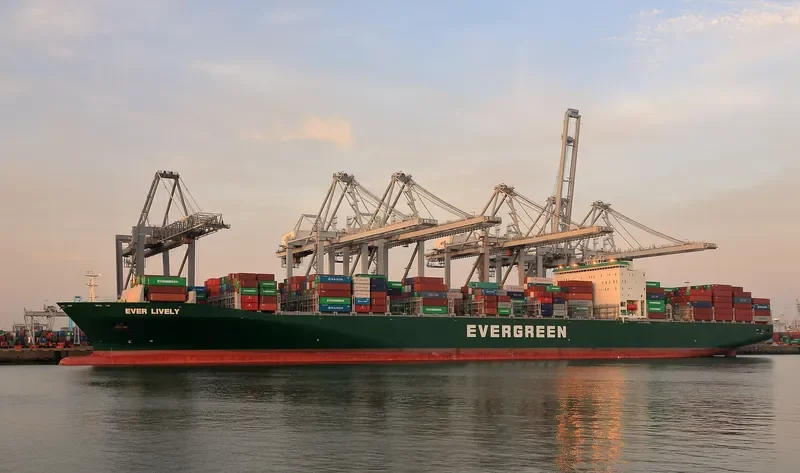 EVER LIVELY Container Ship IMO 9604134 photo 7