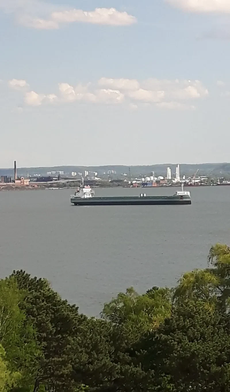 VIKINGBANK Container Ship IMO 9604184 photo 3