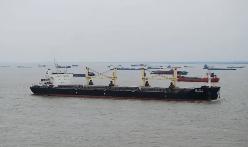 WU XING 5 Bulk Carrier IMO 9604598 photo 5