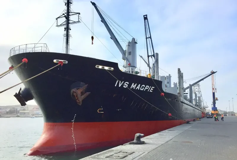 IVS MAGPIE Bulk Carrier IMO 9604732