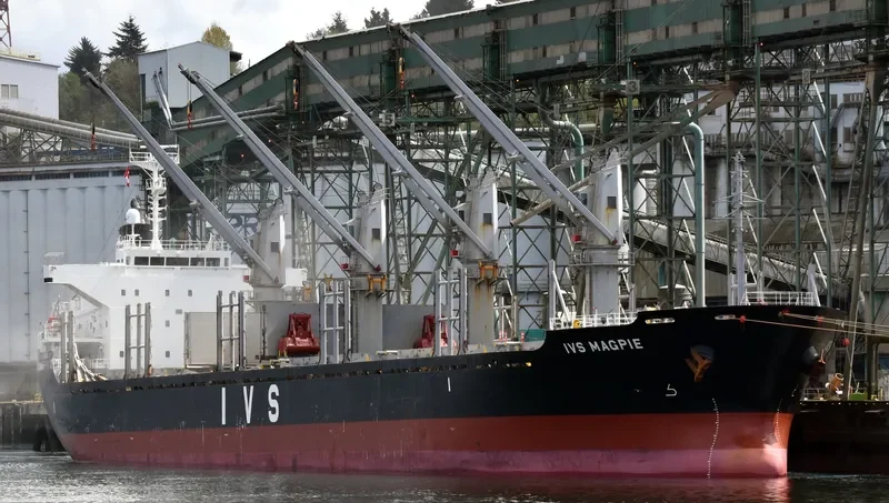 IVS MAGPIE Bulk Carrier IMO 9604732 photo 4