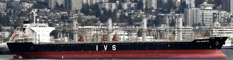 IVS MAGPIE Bulk Carrier IMO 9604732 photo 6