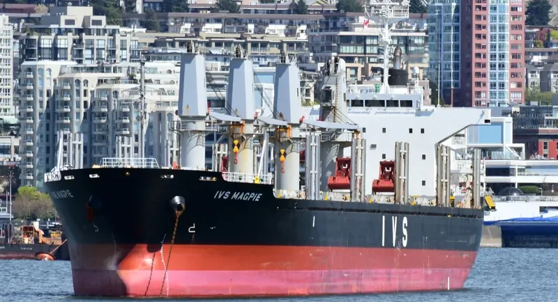 IVS MAGPIE Bulk Carrier IMO 9604732 photo 7
