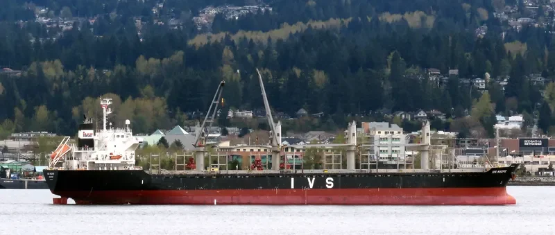 IVS MAGPIE Bulk Carrier IMO 9604732 photo 9