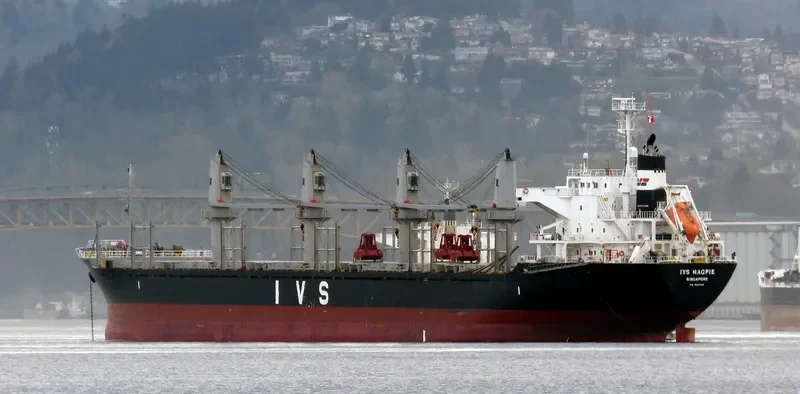 IVS MAGPIE Bulk Carrier IMO 9604732 photo 10