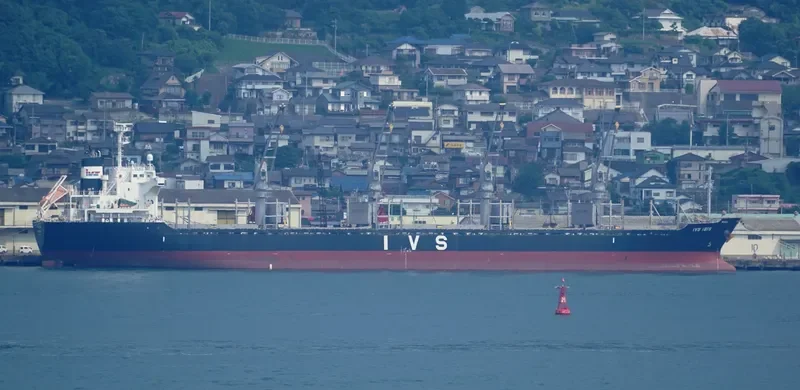 IVS IBIS Bulk Carrier IMO 9604744 photo 6
