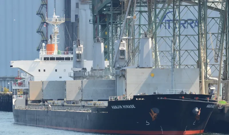 HINASE Bulk Carrier IMO 9604768 photo 7
