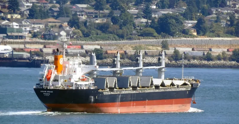 HINASE Bulk Carrier IMO 9604768 photo 10