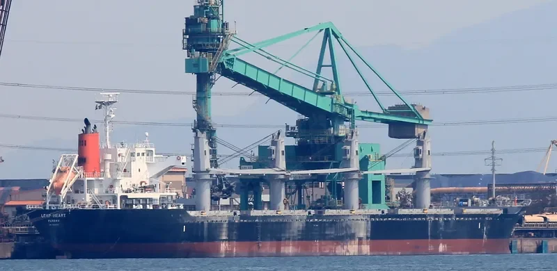 LEAP HEART Bulk Carrier IMO 9604770