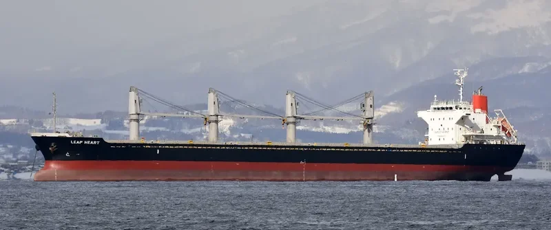 LEAP HEART Bulk Carrier IMO 9604770 photo 3