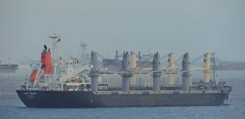 LEAP HEART Bulk Carrier IMO 9604770 photo 5