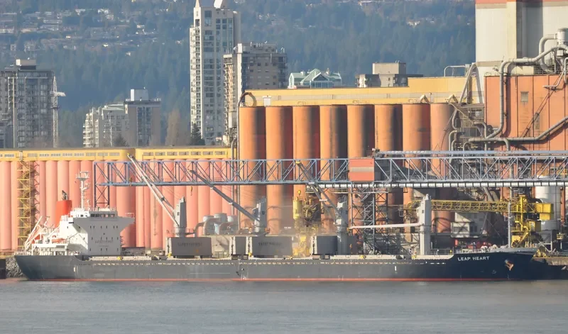LEAP HEART Bulk Carrier IMO 9604770 photo 8