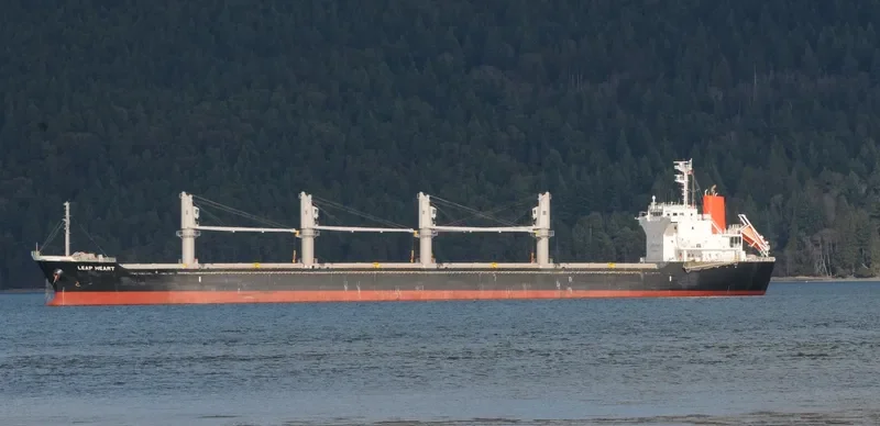 LEAP HEART Bulk Carrier IMO 9604770 photo 10