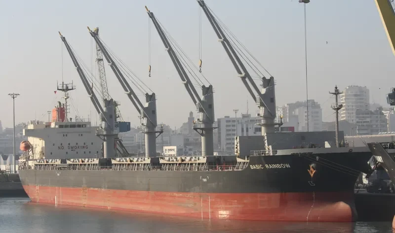 BASIC RAINBOW Bulk Carrier IMO 9604847