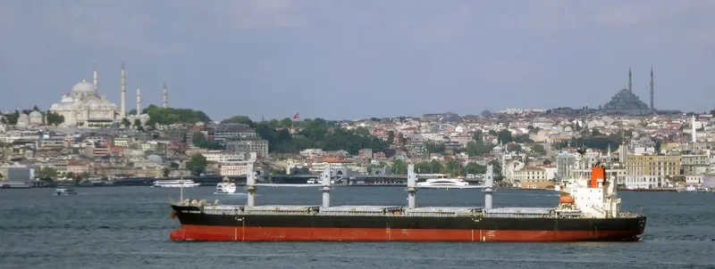 BASIC RAINBOW Bulk Carrier IMO 9604847 photo 4