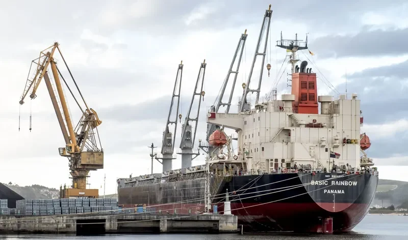 BASIC RAINBOW Bulk Carrier IMO 9604847 photo 7
