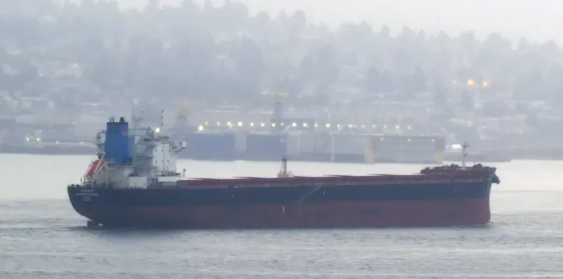 MARGRETH PISSAREK Bulk Carrier IMO 9604861 photo 4
