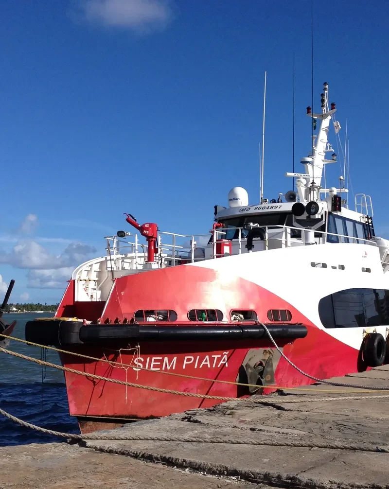 SIEM PIATA General Cargo IMO 9604897 photo 2