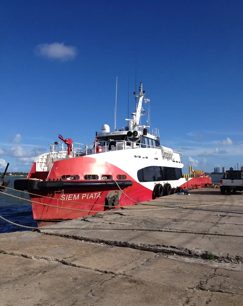 SIEM PIATA General Cargo IMO 9604897 photo 3