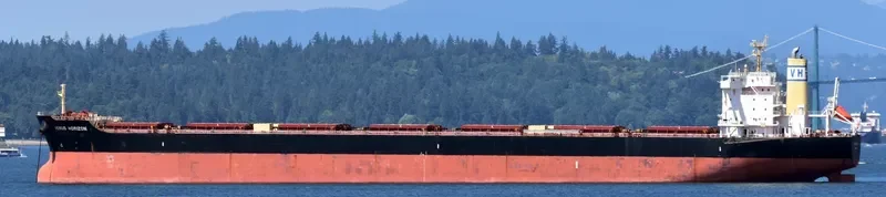 VENUS HORIZON Bulk Carrier IMO 9604952 photo 4