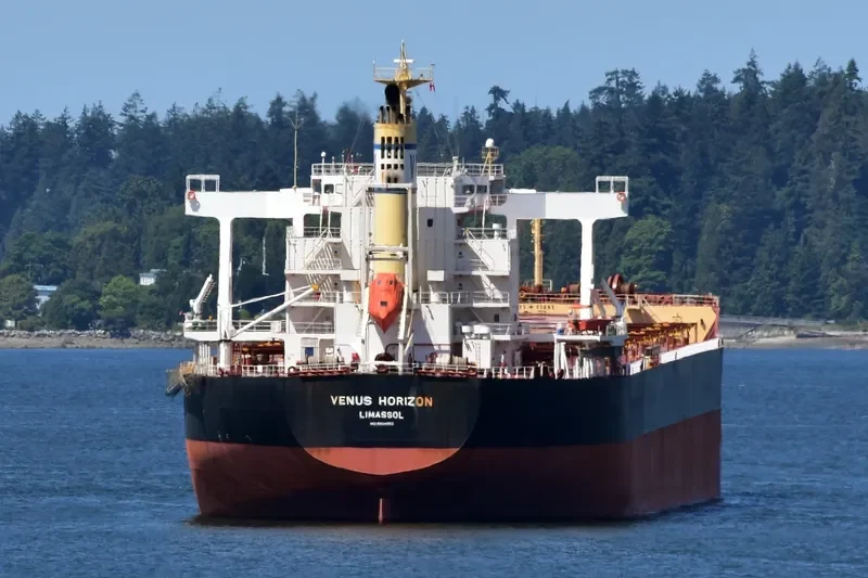 VENUS HORIZON Bulk Carrier IMO 9604952 photo 6