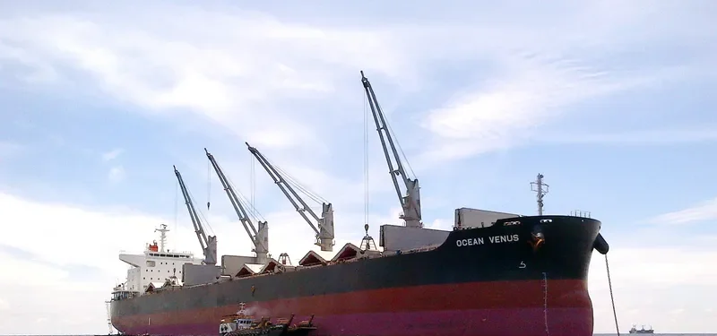OCEAN VENUS Bulk Carrier IMO 9604964 photo 4