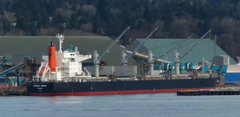 OCEAN VENUS Bulk Carrier IMO 9604964 photo 6
