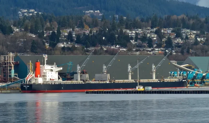 OCEAN VENUS Bulk Carrier IMO 9604964 photo 7