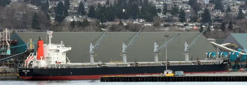 OCEAN VENUS Bulk Carrier IMO 9604964 photo 8