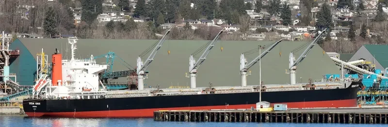 OCEAN VENUS Bulk Carrier IMO 9604964 photo 10