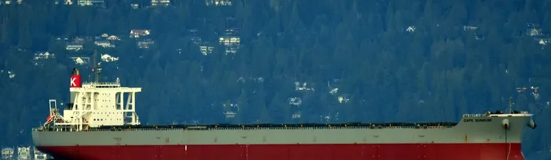 CAPE SUNRISE Bulk Carrier IMO 9605009