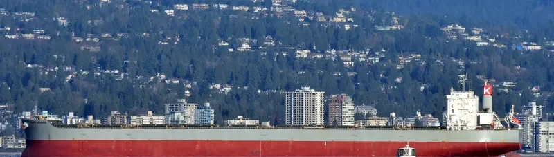 CAPE SUNRISE Bulk Carrier IMO 9605009 photo 3