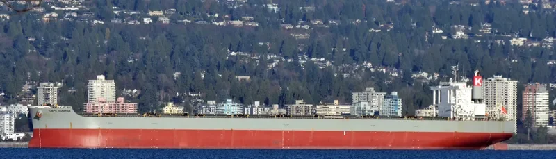 CAPE SUNRISE Bulk Carrier IMO 9605009 photo 4