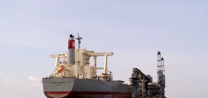 CAPE SUNRISE Bulk Carrier IMO 9605009 photo 6