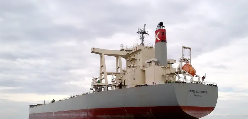 CAPE SUNRISE Bulk Carrier IMO 9605009 photo 7