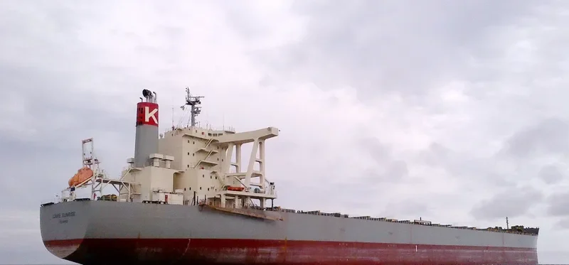 CAPE SUNRISE Bulk Carrier IMO 9605009 photo 8
