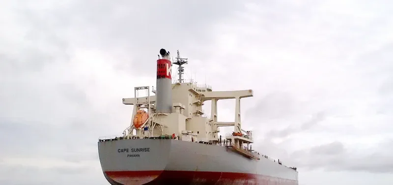 CAPE SUNRISE Bulk Carrier IMO 9605009 photo 9