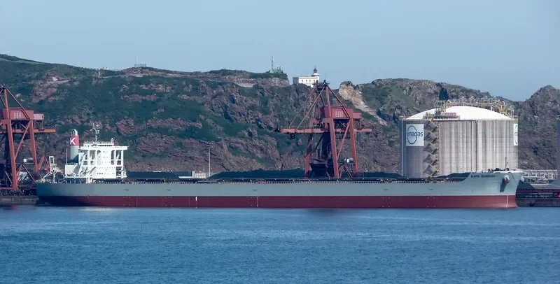 CAPE SUNRISE Bulk Carrier IMO 9605009 photo 10