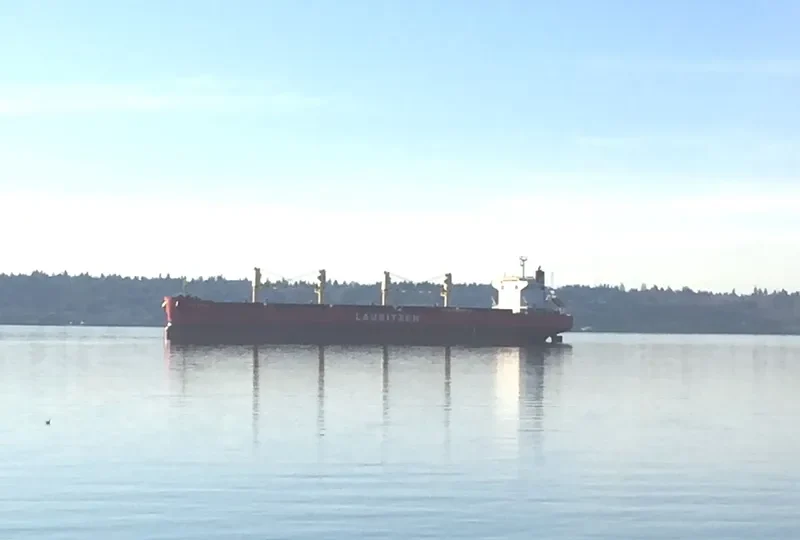 PROPEL GRACE Bulk Carrier IMO 9605023 photo 3