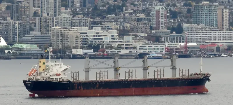 PACIFIC HOPE Bulk Carrier IMO 9605047 photo 3