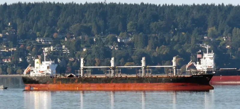 PACIFIC HOPE Bulk Carrier IMO 9605047 photo 5