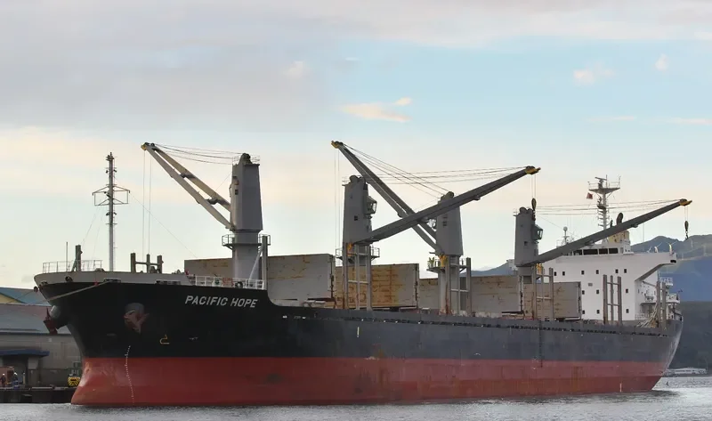 PACIFIC HOPE Bulk Carrier IMO 9605047 photo 6