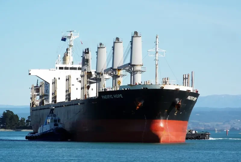 PACIFIC HOPE Bulk Carrier IMO 9605047 photo 8