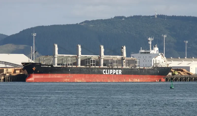 ATROMITOS L Bulk Carrier IMO 9605073 photo 4