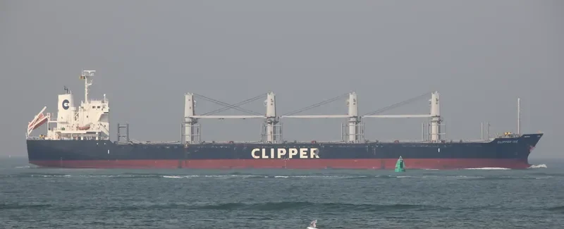 ATROMITOS L Bulk Carrier IMO 9605073 photo 7