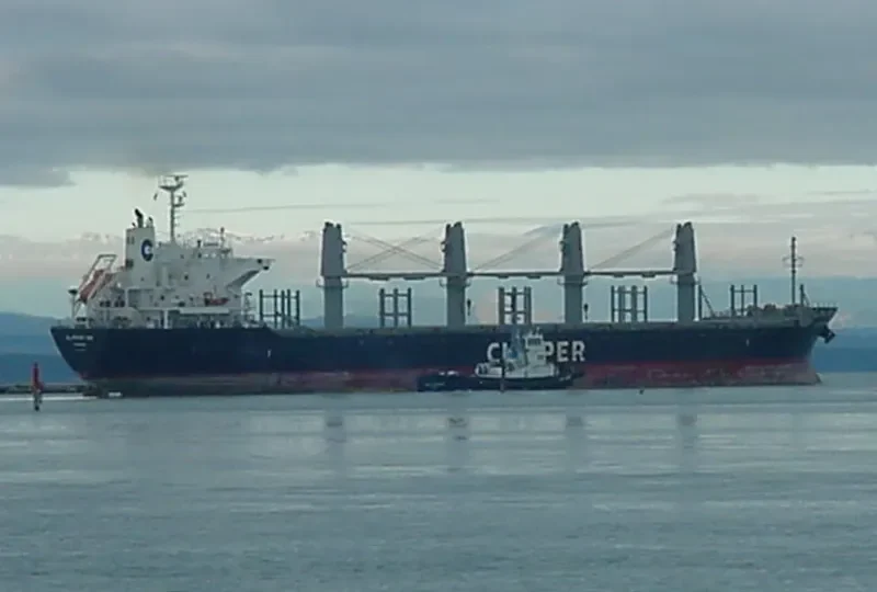 ATROMITOS L Bulk Carrier IMO 9605073 photo 8